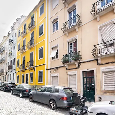 Akicity Alameda Mint * Lizbona